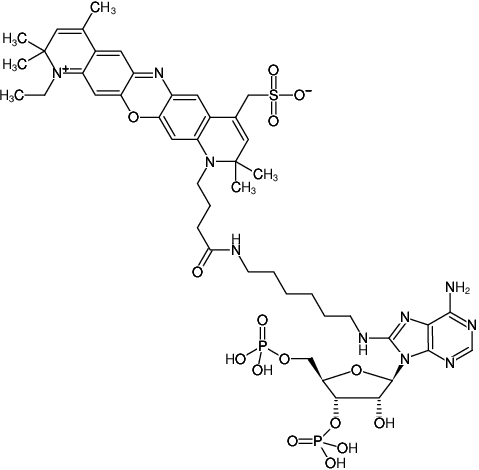 Structural formula of 8-(6-Aminohexyl)-amino-adenosine-3',5'-bisphosphate-ATTO-700 (8-(6-Aminohexyl)-amino-adenosine-3',5'-bisphosphate, labeled with ATTO 700, Triethylammonium salt)