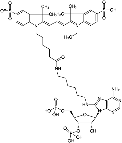 Structural formula of 8-(6-Aminohexyl)-amino-adenosine-3',5'-bisphosphate-Cy3 (8-(6-Aminohexyl)-amino-adenosine-3',5'-bisphosphate, labeled with Cy3, Triethylammonium salt)