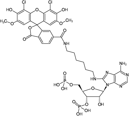 Structural formula of 8-(6-Aminohexyl)-amino-adenosine-3',5'-bisphosphate-6-JOE (8-(6-Aminohexyl)-amino-adenosine-3',5'-bisphosphate, labeled with 6-JOE, Triethylammonium salt)