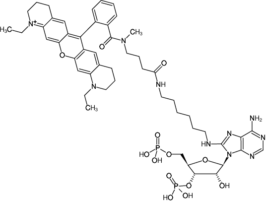 Structural formula of 8-(6-Aminohexyl)-amino-adenosine-3',5'-bisphosphate-ATTO-Rho11 (8-(6-Aminohexyl)-amino-adenosine-3',5'-bisphosphate, labeled with ATTO Rho11, Triethylammonium salt)