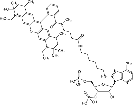 Structural formula of 8-(6-Aminohexyl)-amino-adenosine-3',5'-bisphosphate-ATTO-Rho12 (8-(6-Aminohexyl)-amino-adenosine-3',5'-bisphosphate, labeled with ATTO Rho12, Triethylammonium salt)