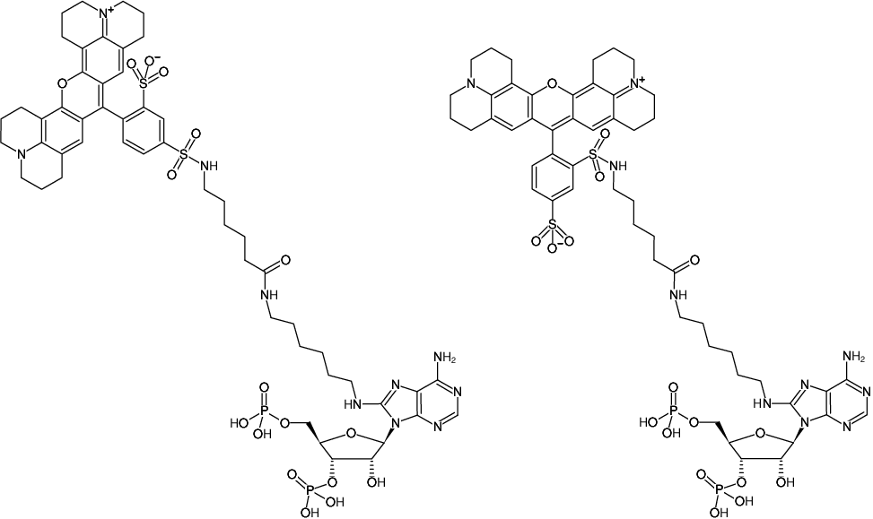 Structural formula of 8-(6-Aminohexyl)-amino-adenosine-3',5'-bisphosphate-Texas Red (8-(6-Aminohexyl)-amino-adenosine-3',5'-bisphosphate, labeled with Texas Red, Triethylammonium salt)