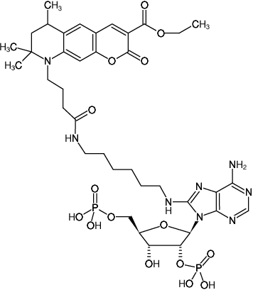 Structural formula of 8-(6-Aminohexyl)-amino-adenosine-2',5'-bisphosphate-ATTO-425 (8-(6-Aminohexyl)-amino-adenosine-2',5'-bisphosphate, labeled with ATTO 425, Triethylammonium salt)