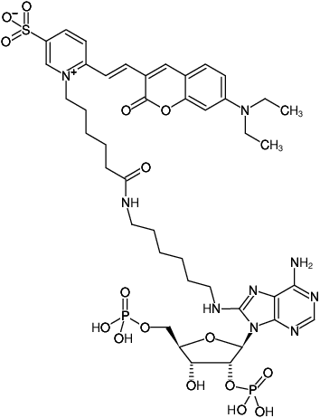 Structural formula of 8-(6-Aminohexyl)-amino-adenosine-2',5'-bisphosphate-DY-480XL (8-(6-Aminohexyl)-amino-adenosine-2',5'-bisphosphate, labeled with DY 480XL, Triethylammonium salt)