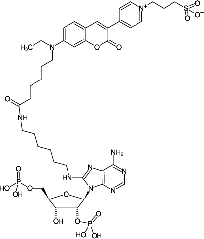 Structural formula of 8-(6-Aminohexyl)-amino-adenosine-2',5'-bisphosphate-DY-485XL (8-(6-Aminohexyl)-amino-adenosine-2',5'-bisphosphate, labeled with DY 485XL, Triethylammonium salt)