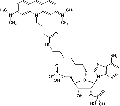 Structural formula of 8-(6-Aminohexyl)-amino-adenosine-2',5'-bisphosphate-ATTO-495 (8-(6-Aminohexyl)-amino-adenosine-2',5'-bisphosphate, labeled with ATTO 495, Triethylammonium salt)