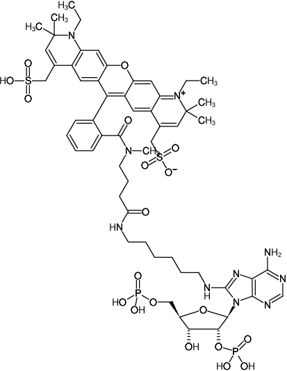 Structural formula of 8-(6-Aminohexyl)-amino-adenosine-2',5'-bisphosphate-ATTO-594 (8-(6-Aminohexyl)-amino-adenosine-2',5'-bisphosphate, labeled with ATTO 594, Triethylammonium salt)