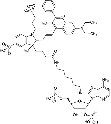 Structural formula of 8-(6-Aminohexyl)-amino-adenosine-2',5'-bisphosphate-DYQ-661 (8-(6-Aminohexyl)-amino-adenosine-2',5'-bisphosphate, labeled with DYQ 661, Triethylammonium salt)