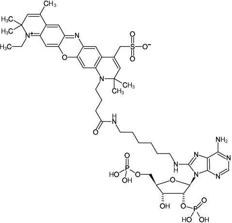 Structural formula of 8-(6-Aminohexyl)-amino-adenosine-2',5'-bisphosphate-ATTO-700 (8-(6-Aminohexyl)-amino-adenosine-2',5'-bisphosphate, labeled with ATTO 700, Triethylammonium salt)