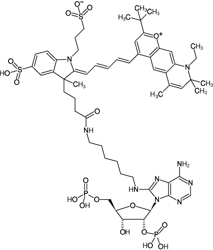 Structural formula of 8-(6-Aminohexyl)-amino-adenosine-2',5'-bisphosphate-DY-751 (8-(6-Aminohexyl)-amino-adenosine-2',5'-bisphosphate, labeled with DY 751, Triethylammonium salt)