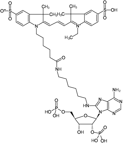 Structural formula of 8-(6-Aminohexyl)-amino-adenosine-2',5'-bisphosphate-Cy3 (8-(6-Aminohexyl)-amino-adenosine-2',5'-bisphosphate, labeled with Cy3, Triethylammonium salt)