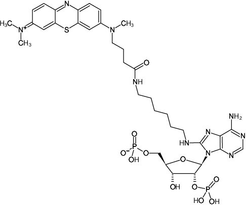 Structural formula of 8-(6-Aminohexyl)-amino-adenosine-2',5'-bisphosphate-ATTO-MB2 (8-(6-Aminohexyl)-amino-adenosine-2',5'-bisphosphate, labeled with ATTO-MB2, Triethylammonium salt)