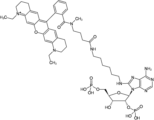 Structural formula of 8-(6-Aminohexyl)-amino-adenosine-2',5'-bisphosphate-ATTO-Rho11 (8-(6-Aminohexyl)-amino-adenosine-2',5'-bisphosphate, labeled with ATTO Rho11, Triethylammonium salt)