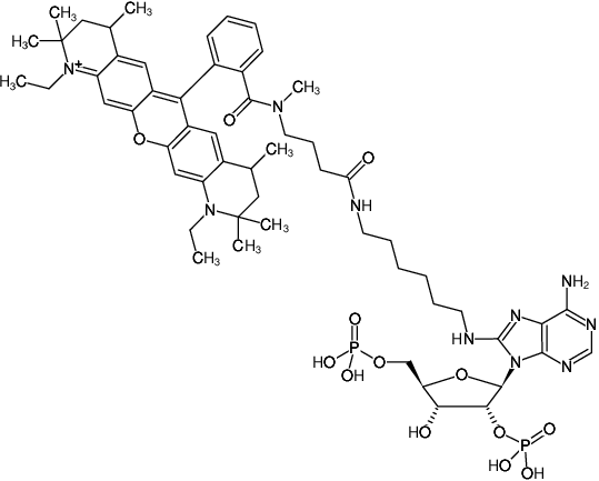 Structural formula of 8-(6-Aminohexyl)-amino-adenosine-2',5'-bisphosphate-ATTO-Rho12 (8-(6-Aminohexyl)-amino-adenosine-2',5'-bisphosphate, labeled with ATTO Rho12, Triethylammonium salt)