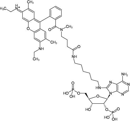 Structural formula of 8-(6-Aminohexyl)-amino-adenosine-2',5'-bisphosphate-ATTO-Rho6G (8-(6-Aminohexyl)-amino-adenosine-2',5'-bisphosphate, labeled with ATTO Rho6G, Triethylammonium salt)