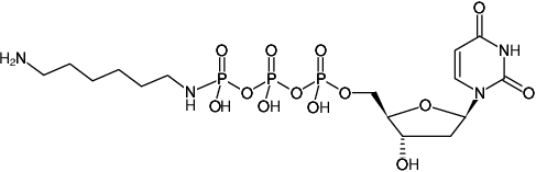 Structural formula of γ-[(6-Aminohexyl)-imido]-dUTP (γ-[(6-Aminohexyl)-imido]-2'-deoxyuridine-5'-triphosphate, Sodium salt)