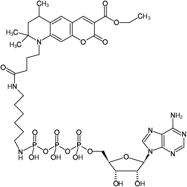 Structural formula of γ-[(6-Aminohexyl)-imido]-ATP-ATTO-425 (γ-[(6-Aminohexyl)-imido]-adenosine-5'-triphosphate, labeled with ATTO-425, Triethylammonium salt)