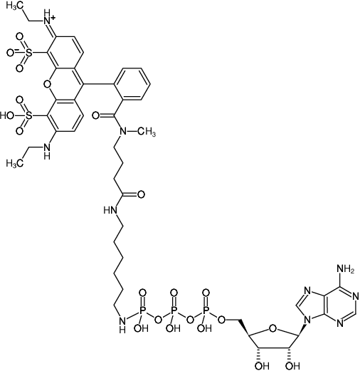 Structural formula of γ-[(6-Aminohexyl)-imido]-ATP-ATTO-532 (γ-[(6-Aminohexyl)-imido]-adenosine-5'-triphosphate, labeled with ATTO-532, Triethylammonium salt)