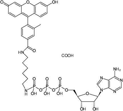 Structural formula of γ-[(6-Aminohexyl)-imido]-ATP-5-FAM (γ-[(6-Aminohexyl)-imido]-adenosine-5'-triphosphate, labeled with 5-FAM, Triethylammonium salt)