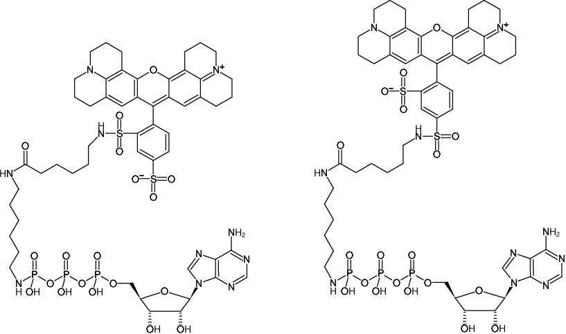 Structural formula of γ-[(6-Aminohexyl)-imido]-ATP-Texas Red (γ-[(6-Aminohexyl)-imido]-adenosine-5'-triphosphate, labeled with Texas Red, Triethylammonium salt)