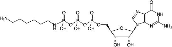 Structural formula of γ-[(6-Aminohexyl)-imido]-GTP (γ-[(6-Aminohexyl)-imido]-guanosine-5'-triphosphate, Sodium salt)