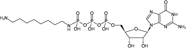 Structural formula of γ-[(8-Aminooctyl)-imido]-GTP (γ-[(8-Aminooctyl)-imido]-guanosine-5'-triphosphate, Sodium salt)