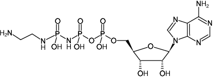 Structural formula of γ-[(2-Aminoethyl)-imido]-AppNHp ((γ-[(2-Aminoethyl)-imido]-AMPPNP), γ-[(2-Aminoethyl)-imido]-adenosine-5'-[(β,γ)-imido]triphosphate, Sodium salt)