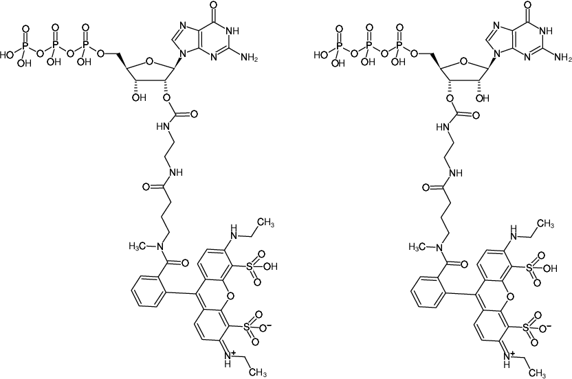 Structural formula of EDA-GTP-ATTO-532 (2'/3'-O-(2-Aminoethyl-carbamoyl)-Guanosine-5'-triphosphate, labeled with ATTO 532, Triethylammonium salt)