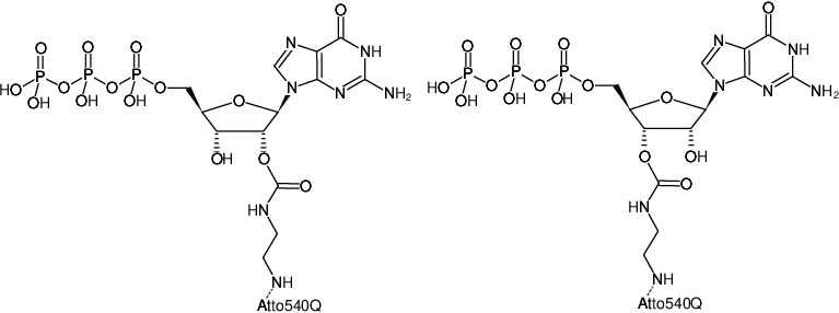 Structural formula of EDA-GTP-ATTO-540Q (2'/3'-O-(2-Aminoethyl-carbamoyl)-Guanosine-5'-triphosphate, labeled with ATTO 540Q, Triethylammonium salt)