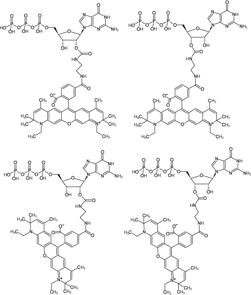 Structural formula of EDA-GTP-ATTO-590 (2'/3'-O-(2-Aminoethyl-carbamoyl)-Guanosine-5'-triphosphate, labeled with ATTO 590, Triethylammonium salt)