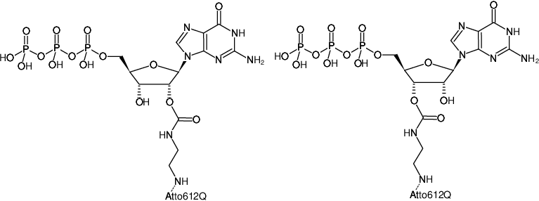 Structural formula of EDA-GTP-ATTO-612Q (2'/3'-O-(2-Aminoethyl-carbamoyl)-Guanosine-5'-triphosphate, labeled with ATTO 612Q, Triethylammonium salt)