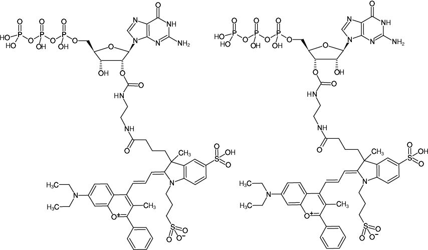 Structural formula of EDA-GTP-DYQ-661 (2'/3'-O-(2-Aminoethyl-carbamoyl)-Guanosine-5'-triphosphate, labeled with DYQ 661, Triethylammonium salt)