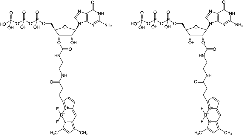 Structural formula of EDA-GTP-BDP-FL (also known as BODIPY® FL-GTP, 2'/3'-O-(2-Aminoethyl-carbamoyl)-Guanosine-5'-triphosphate, labeled with BODIPY® FL, Triethylammonium salt)