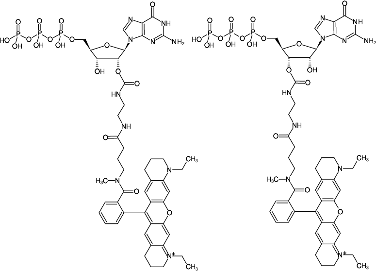 Structural formula of EDA-GTP-ATTO-Rho11 (2'/3'-O-(2-Aminoethyl-carbamoyl)-Guanosine-5'-triphosphate, labeled with ATTO Rho11, Triethylammonium salt)