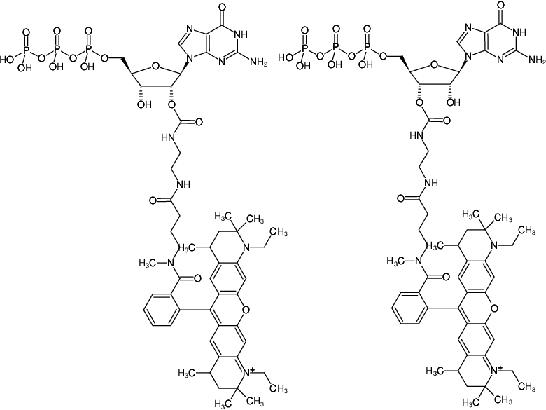 Structural formula of EDA-GTP-ATTO-Rho12 (2'/3'-O-(2-Aminoethyl-carbamoyl)-Guanosine-5'-triphosphate, labeled with ATTO Rho12, Triethylammonium salt)