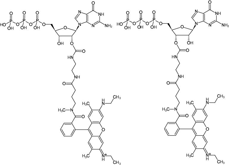 Structural formula of EDA-GTP-ATTO-Rho6G (2'/3'-O-(2-Aminoethyl-carbamoyl)-Guanosine-5'-triphosphate, labeled with ATTO Rho6G, Triethylammonium salt)