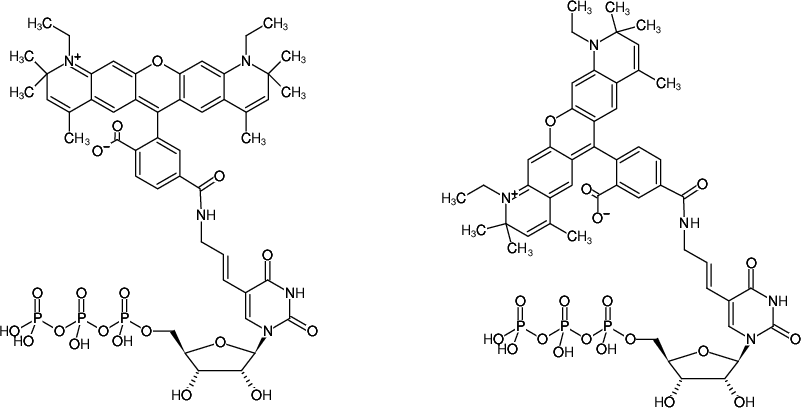 Structural formula of Aminoallyl-UTP-ATTO-590 (5-(3-Aminoallyl)-uridine-5'-triphosphate, labeled with ATTO 590, Triethylammonium salt)