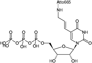 Structural formula of Aminoallyl-UTP-ATTO-665 (5-(3-Aminoallyl)-uridine-5'-triphosphate, labeled with ATTO 665, Triethylammonium salt)