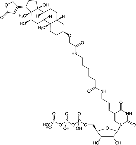 Structural formula of DIG-11-UTP (Digoxigenin-X-(5-aminoallyl)-uridine-5'-triphosphate, Triethylammonium salt)