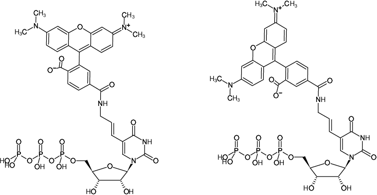 Structural formula of Aminoallyl-UTP-5/6-TAMRA (5-(3-Aminoallyl)-uridine-5'-triphosphate, labeled with 5/6-TAMRA, Triethylammonium salt)