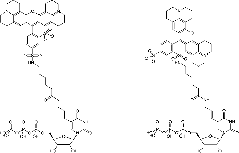 Structural formula of Aminoallyl-UTP-Texas Red (5-(3-Aminoallyl)-uridine-5'-triphosphate, labeled with Texas Red, Triethylammonium salt)