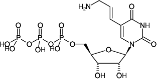 Structural formula of Aminoallyl-UTP - Solid (5-(3-Aminoallyl)-uridine-5'-triphosphate, Sodium salt)