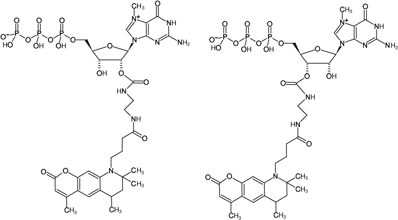 Structural formula of EDA-m7GTP-ATTO-390 (2'/3'-O-(2-Aminoethyl-carbamoyl)-7-methyl-guanosine-5'-triphosphate, labeled with ATTO 390, Triethylammonium salt)