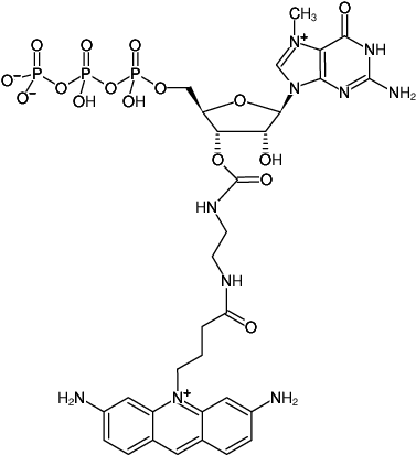 Structural formula of EDA-m7GTP-ATTO-465 (2'/3'-O-(2-Aminoethyl-carbamoyl)-7-methyl-guanosine-5'-triphosphate, labeled with ATTO 465, Triethylammonium salt)