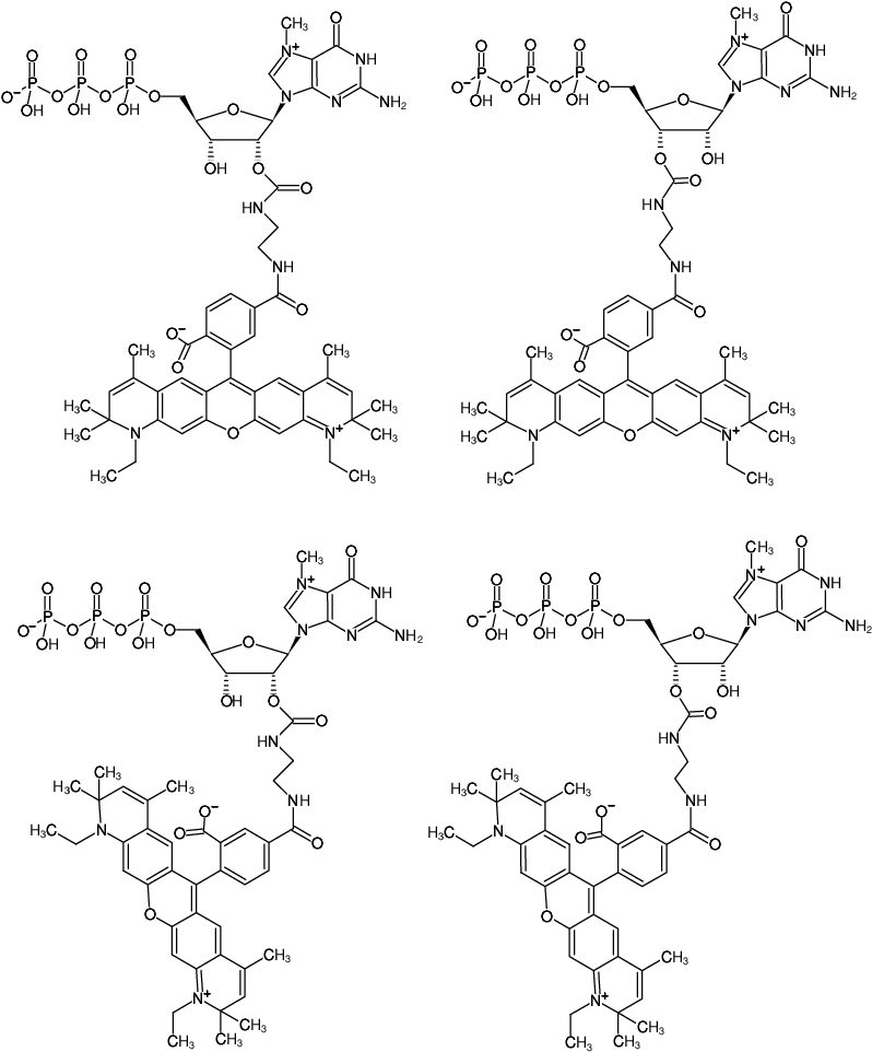 Structural formula of EDA-m7GTP-ATTO-590 (2'/3'-O-(2-Aminoethyl-carbamoyl)-7-methyl-guanosine-5'-triphosphate, labeled with ATTO 590, Triethylammonium salt)