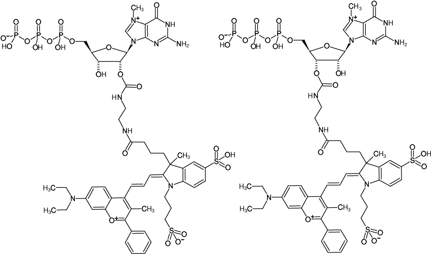 Structural formula of EDA-m7GTP-DYQ-661 (2'/3'-O-(2-Aminoethyl-carbamoyl)-7-methyl-guanosine-5'-triphosphate, labeled with DYQ 661, Triethylammonium salt)