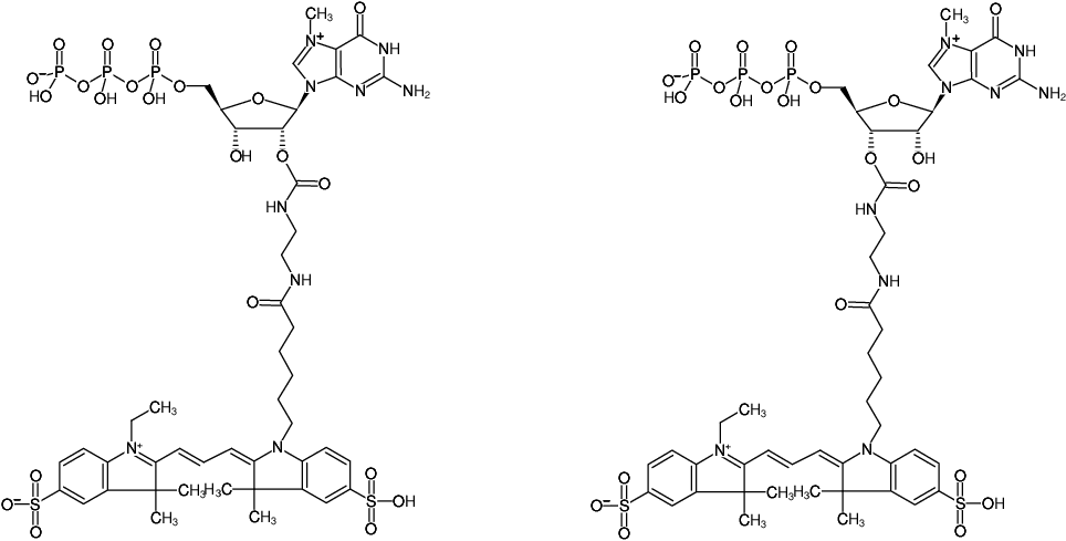 Structural formula of EDA-m7GTP-Cy3 (2'/3'-O-(2-Aminoethyl-carbamoyl)-7-methyl-guanosine-5'-triphosphate, labeled with Cy3, Triethylammonium salt)