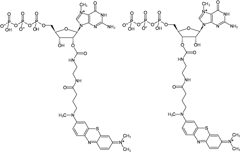 Structural formula of EDA-m7GTP-ATTO-MB2 (2'/3'-O-(2-Aminoethyl-carbamoyl)-7-methyl-guanosine-5'-triphosphate, labeled with ATTO-MB2, Triethylammonium salt)