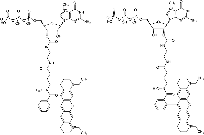 Structural formula of EDA-m7GTP-ATTO-Rho11 (2'/3'-O-(2-Aminoethyl-carbamoyl)-7-methyl-guanosine-5'-triphosphate, labeled with ATTO Rho11, Triethylammonium salt)