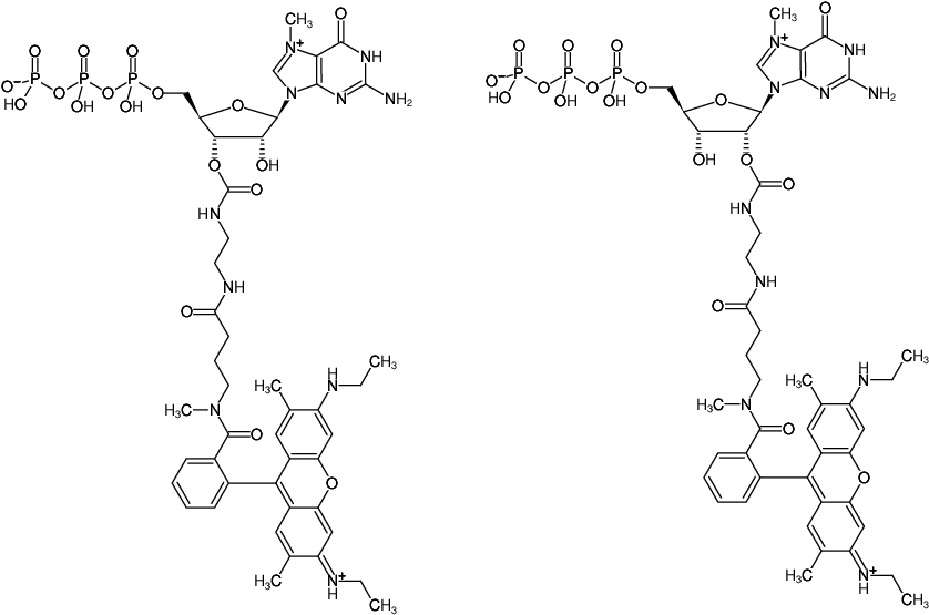 Structural formula of EDA-m7GTP-ATTO-Rho6G (2'/3'-O-(2-Aminoethyl-carbamoyl)-7-methyl-guanosine-5'-triphosphate, labeled with ATTO Rho6G, Triethylammonium salt)